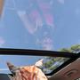 Don't Selfie That