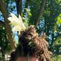 CrAzY hAiRdAy