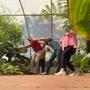 Little Shop of Horrors