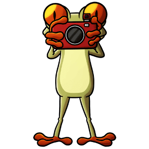 FrogQuest Mascot Taking Photos